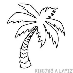 logotipos de palmeras