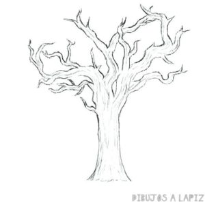 tronco arbol dibujo