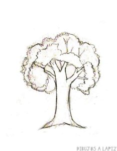 tronco de arbol dibujo