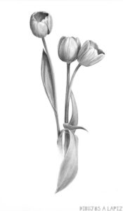 tulipanes animados
