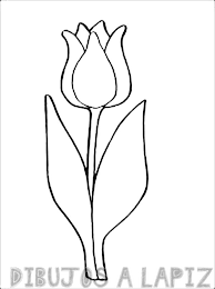 tulipanes para pintar