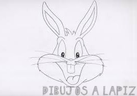lola bunny dibujo